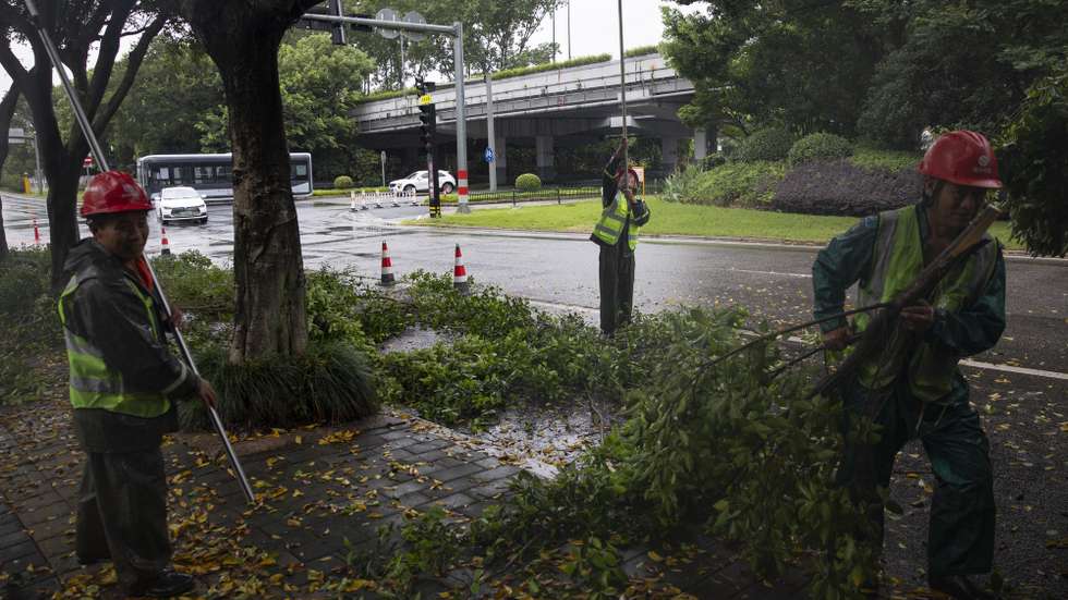 epa13104065 Workers cut and clear branches of trees ahead of the passage of Typhoon Bavi, in Wenzhou, in the province of Zhejiang, China, 11 July 2026. Typhoon Bavi, the 9th of the season, is expected to make landfall between 11 and 12 July.  EPA/ANDRES MARTINEZ CASARES