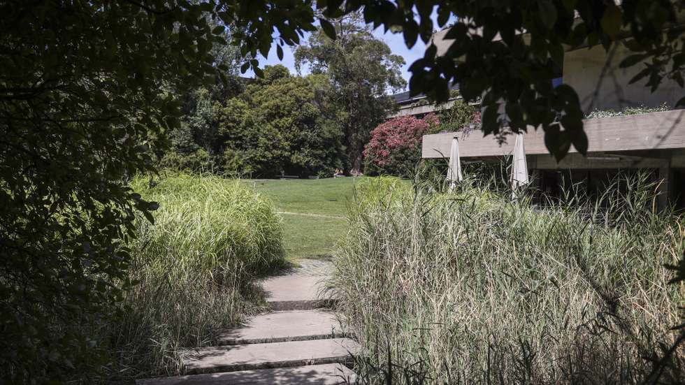 Jardim da Fundação Calouste Gulbenkian, no âmbito de uma conversa com a arquiteta paisagista Paula Corte-Real (ausente da fotografia), responsável pelo jardim, em Lisboa, 15 de julho de 2026. (ACOMPANHA TEXTO DA LUSA DO DIA 18 DE JULHO DE 2026). MIGUEL A. LOPES/LUSA