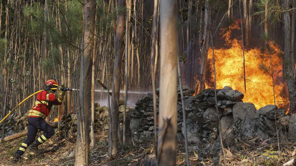 Bombeiros durante o combate ao incêndio florestal que desde a madrugada consome floresta na povoação de Cambarinho, Vouzela, 3 de julho de 2026. PAULO NOVAIS/LUSA,