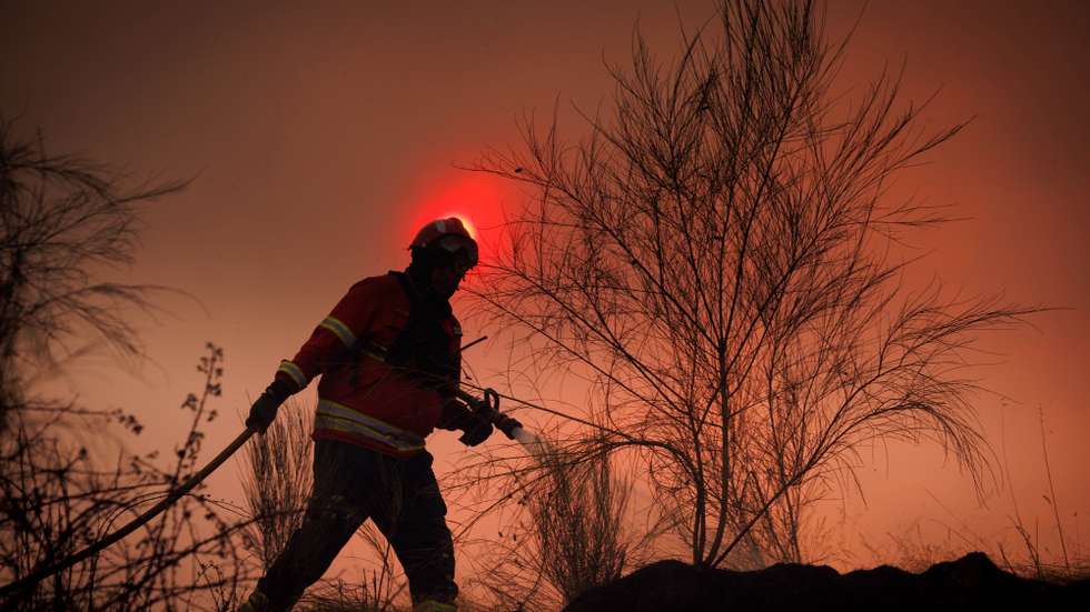A firefighter fights the flames during a wildfire in Valpacos, Portugal, 30th July 2026. The fire, which broke out on Tuesday in the municipality of Valpaços and spread to those of Mirandela and Vinhais, has three active fronts this evening, and additional resources and personnel have been deployed, according to the Civil Protection Agency. PEDRO SARMENTO COSTA/LUSA