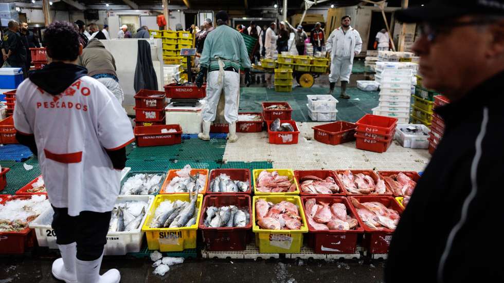 epa12285062 People work at the fish market of the Ceagesp General Warehouse and Storage Company, in Sao Paulo, Brazil, 05 August 2025. The Brazilian fishing sector was not included in the list of exceptions for tariffs imposed by the US president on Brazil.  EPA/Isaac Fontana
