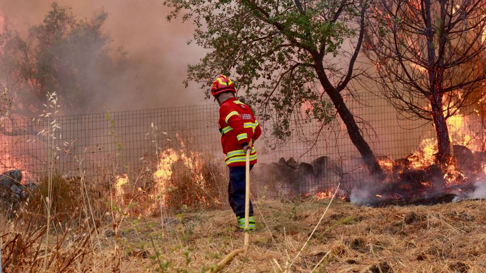 Um bombeiro combate o incêndio na Bemposta, Penamacor, 29 de julho de 2025. O incêndio que deflagrou na segunda-feira, em Penamacor, distrito de Castelo Branco, entrou em fase de rescaldo e vigilância revelou a Proteção Civil e neste momento estão 379 operacionais no terreno, apoiados por 125 viaturas e três meios aéreos. MIGUEL PEREIRA DA SILVA/LUSA