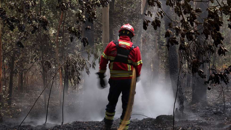 Bombeiros de Coimbrões fazem o rescaldo do incêndio florestal que deflagrou ao final da tarde de segunda-feira em Rebordões, no concelho de Santo Tirso, e que chegou a ter mais de 200 homens apoiados por mais de 70 viaturas no combate a quatro frentes ativas, queimaram mil hectares de mato e floresta, 20 de agosto de 2026. (ACOMPANHA TEXTO). ESTELA SILVA/LUSA