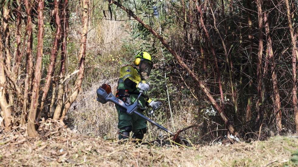Sapadores florestais e bombeiros sapadores da Figueira da Foz participam nos trabalhos de limpeza de terrenos florestais e agrícolas, para verificar os resultados das operações de limpeza, junto ao Mosteiro de Seiça, na Figueira da Foz, 10 de setembro de 2026. (ACOMPANHA TEXTO DA LUSA DO DIA 13 DE SETEMBRO DE 2026). PAULO NOVAIS/LUSA