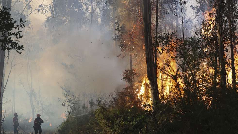 Bombeiros combatem o incêndio florestal que deflagrou ao início da tarde na zona de Eirol/Eixo, no concelho de Aveiro, e obrigou ao corte da Autoestrada do Norte (A1), em Aveiro, 18 de setembro de 2026. PAULO NOVAIS/LUSA