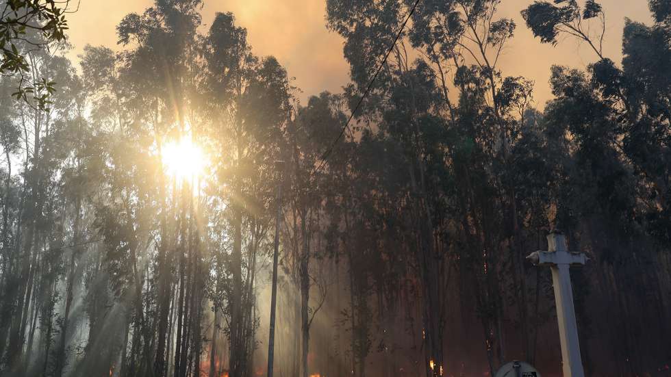 Chamas durante o incêndio florestal que deflagrou ao início da tarde na zona de Eirol/Eixo, no concelho de Aveiro, e obrigou ao corte da Autoestrada do Norte (A1), em Aveiro, 18 de setembro de 2026. PAULO NOVAIS/LUSA