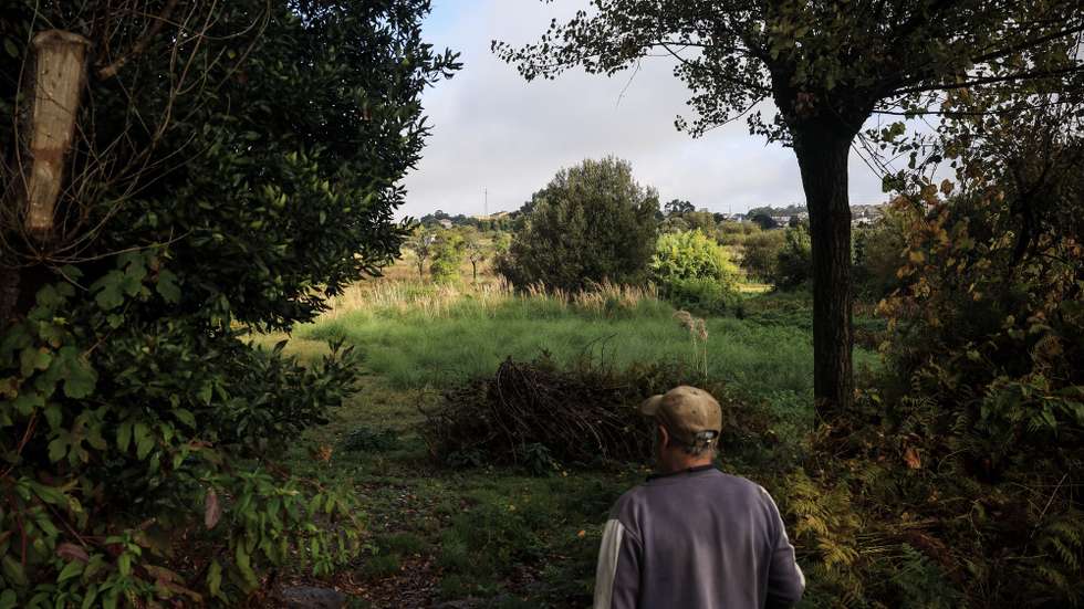 Arnaldo Magalhães, agricultor, no seu de terreno cultivado que constitui parte da Reserva Agrícola Nacional e Reserva Ecológica Nacional de Vila Nova de Gaia, onde o consórcio AVAN Norte (Mota-Engil, Teixeira Duarte, Alves Ribeiro, Casais, Conduril e Gabriel Couto) pretende construir a estação ferroviária de alta velocidade (TGV), em Vila Nova de Gaia, 20 de outubro de 2025. (ACOMPANHA TEXTO DA LUSA DO DIA 21 DE OUTUBRO DE 2025). JOSÉ COELHO/LUSA