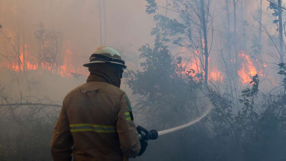 Um bombeiro combate o incêndio florestal que deflagrou ao início da tarde na zona de Eirol/Eixo, no concelho de Aveiro, e obrigou ao corte da Autoestrada do Norte (A1), em Aveiro, 18 de setembro de 2026. PAULO NOVAIS/LUSA