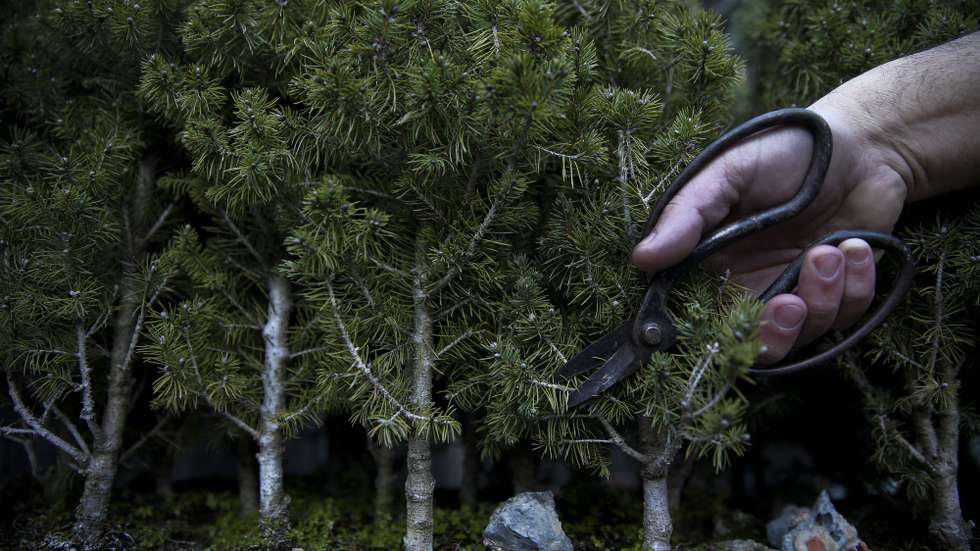 Cidadãos recebem embalagens não identificadas sem as terem solicitado