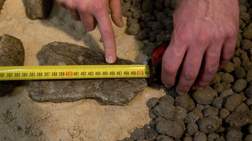 A única pegada do dinossauro Stegopodus em Portugal foi encontrada em Alcobaça, no distrito de Leiria