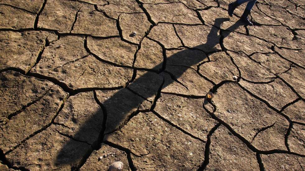 Desinformação sobre alterações climáticas é persistente e resistente, indica estudo