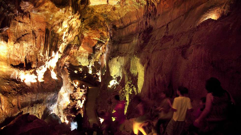 As galerias subterrâneas das grutas de Mira D'Aire garantem as condições ideais ao nível da humidade, circulação de ar e temperatura para o cultivo de cogumelos e que pode resultar na colheita de quase duas toneladas por ano, 3 setembro de 2013. (ACOMPANHA TEXTO). PAULO CUNHA/LUSA