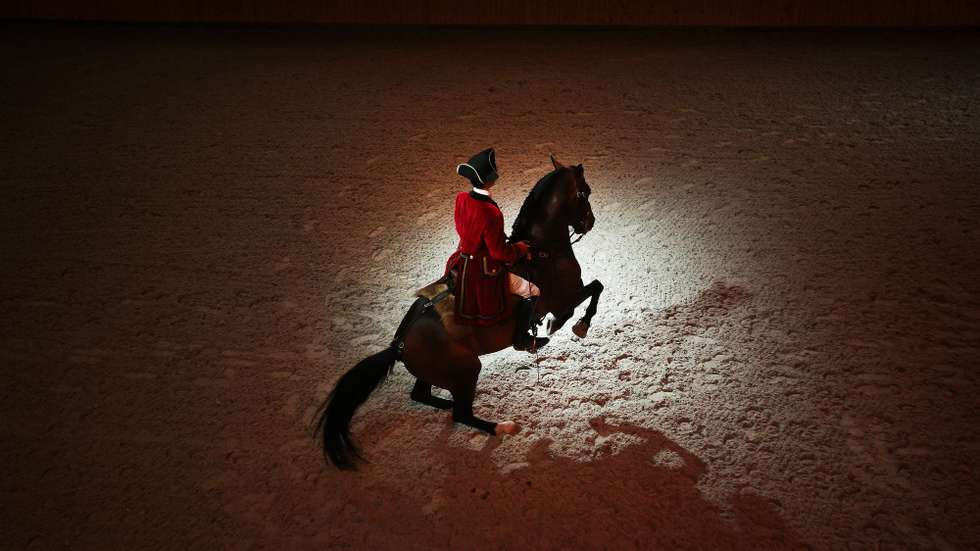A Escola Portuguesa de Arte Equestre tem desde o dia 20 de julho espetáculos e treinos abertos ao público no novo Picadeiro Henrique Calado, em Lisboa, 10 de agosto de 2015. (ACOMPANHA TEXTO) MÁRIO CRUZ/LUSA
