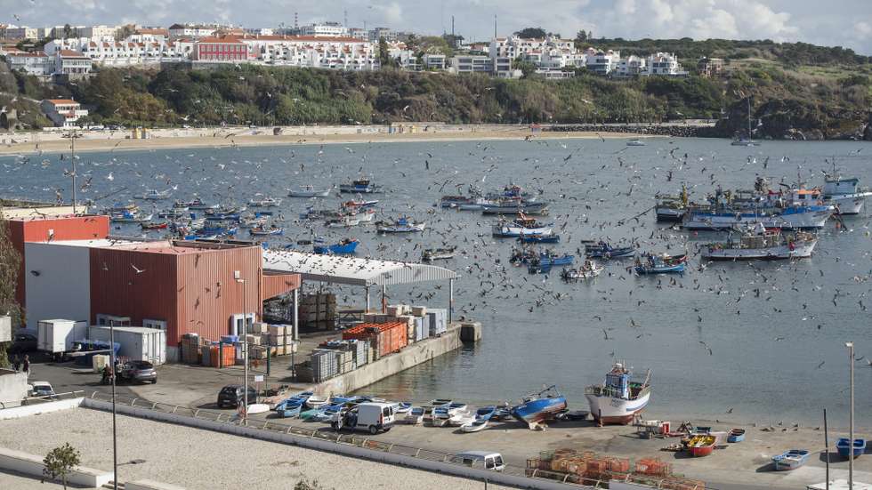 Chegada de barcos carregados de peixe ao Porto de pesca de Sines, 3 de novembro de 2017. TIAGO CANHOTO /LUSA