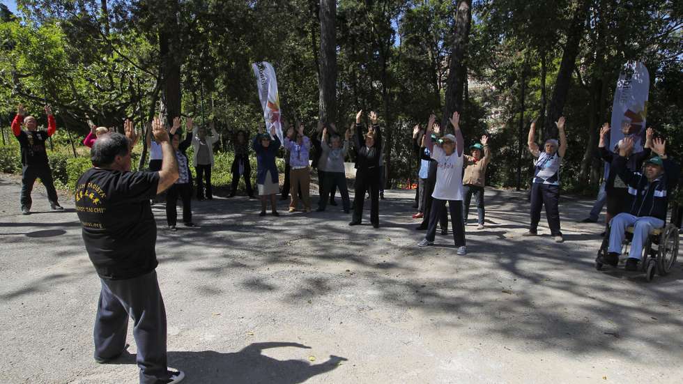 Um grupo de idosos pratica Tai Chi na Mata de Benfica, em Lisboa. Este projeto da Santa Casa da Misericórdia denominado "Viver Melhor" engloba vários tipo de atividade física e decorre em vários jardins da cidade de Lisboa, esta manhã, 31 maio 2013. (ACOMPANHA TEXTO) JOSÉ SENA GOULÃO / LUSA