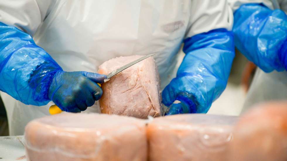 A Nobre Alimentação, marca de produtos de charcutaria em Portugal, comemora este ano o seu 60.º aniversário, Rio Maior, 02 de junho de 2017. CARLOS BARROSO/LUSA