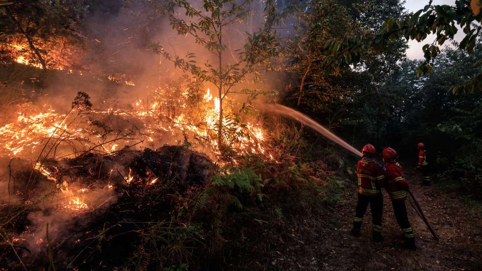 Firefighters during a forest fire in Bornes de Aguiar, Vila Pouca de Aguiar, Portugal, 16 September 2024. The situation has worsened in the fire in Vila Pouca de Aguiar, which is approaching the village of Vila Meã, said the mayor today, who asked for more resources to fight the three fires in the municipality. 133 operational and 40 vehicles are fighting the forest fire. PEDRO SARMENTO COSTA/LUSA