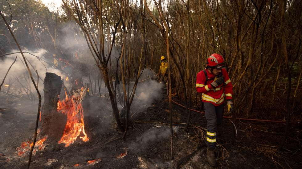 Bombeiros combatem um incêndio em Raiz do Monte, Vila Pouca de Aguiar, 19 de Setembero de 2024. Sete pessoas morreram e cerca de 120 ficaram feridas nos incêndios que atingem desde domingo sobretudo as regiões Norte e Centro do país, nos distritos de Aveiro, Porto, Vila Real, Braga, Viseu e Coimbra, e que destruíram dezenas de casas e obrigaram a cortar estradas e autoestradas. PEDRO SARMENTO COSTA/LUSA