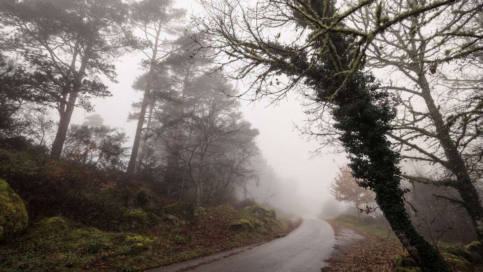 Vila Pouca de Aguiar acordou esta manhã com um manto nevoeiro frio, 28 de dezembro de 2024, Vila Real.  PEDRO SARMENTO COSTA/LUSA