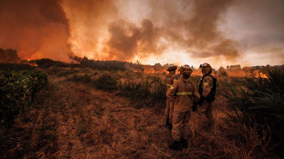 Bombeiros durante o combate a um incêndio em Sabrosa, Vila Real, 16 de julho de 2025. O vento forte e irregular que provoca várias projeções está a dificultar o combate ao incêndio que lavra em Souto Maior, Sabrosa, e que pelas 22:00 mobilizava 368 operacionais e 115 meios terrestres, segundo a página da ANEPC - Autoridade Nacional de Emergência e Proteção Civil. PEDRO SARMENTO COSTA
