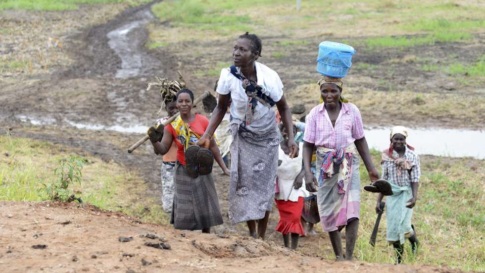 Camponesas regressam das suas "machambas" em Guijá, província de Gaza, sul de Moçambique, 21 de fevereiro de 2017. Em Guijá, sul de Moçambique, “as coisas continuam complicadas” e, meses após uma seca severa, o pesadelo hoje são as inundações, com a subida do rio Limpopo a afetar mais de 600 agricultores, ameaçando a campanha agrícola que se inicia. (ACOMPANHA TEXTO DE 05/03/2017)  ANTÓNIO SILVA/LUSA