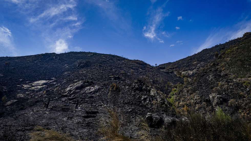 Parque Natural da Penêda-Gerês ardido