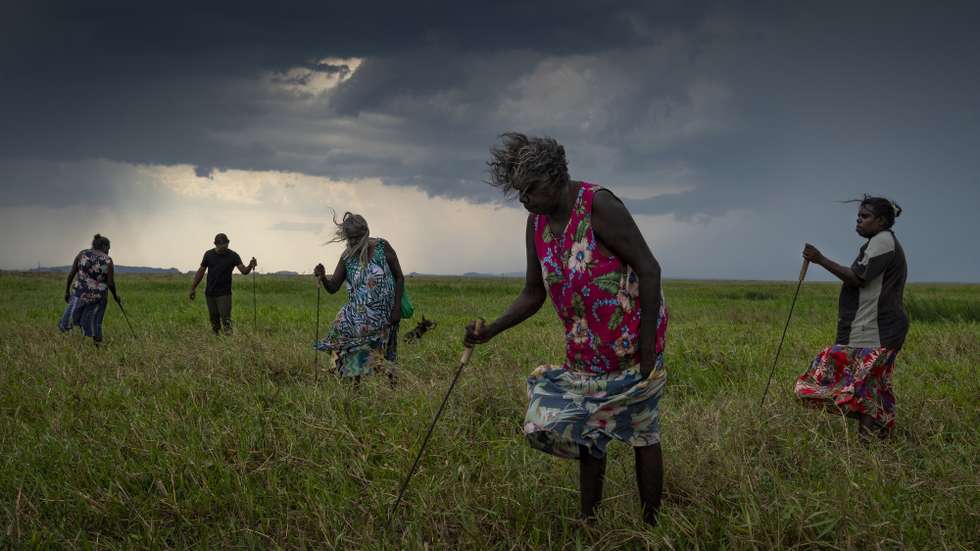 epa09875281 A handout photo made available by the World Press Photo Foundation shows one for four images of the World Press Photo Story of the Year 2022 by Australian photographer Matthew Abbott, for National Geographic / Panos Pictures, depicting Indigenous Australians strategically burning land in a practice known as cool burning, in which fires move slowly, burn only the undergrowth, and remove the build-up of fuel that feeds bigger blazes in West Arnhem Land, Australia, 31 October 2021 (issued 07 April 2022). For tens of thousands of years, Aboriginal people - the oldest continuous culture on earth - have been strategically burning the country to manage the landscape and to prevent out of control fires. At the end of the wet season, there's a period of time where this prescribed burning takes place. The Nawarddeken people of West Arnhem Land, Australia, have been practicing controlled cool burns for tens of thousands of years and see fire as a tool to manage their 1.39 million hectare homeland. Warddeken rangers combine traditional knowledge with contemporary technologies to prevent wildfires, thereby decreasing climate-heating CO2.  EPA/Matthew Abbott HANDOUT Under strict embargo until 07 April 12.00 (noon) CEST * MANDATORY CREDIT: AMBER BRACKEN / WORLD PRESS PHOTO FOUNDATION * NO CROPPING * NO MANIPULATING * USE ONLY FOR SINGLE PUBLICATION IN CONNECTION WITH THE WORLD PRESS PHOTO AND ITS ACTIVITIES * HANDOUT EDITORIAL USE ONLY/NO SALES