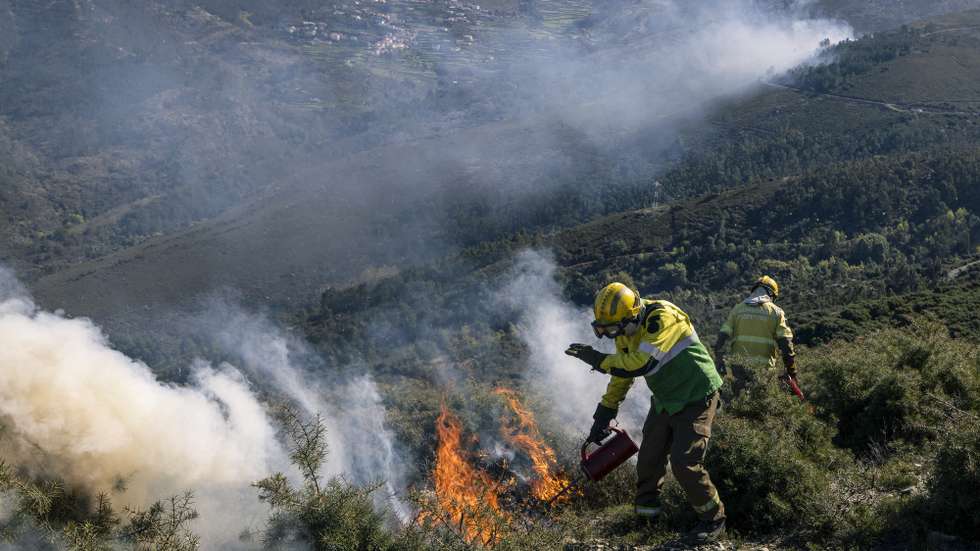 Fogo controlado pelo ICNF, na Serra do Marão, em Amarante, 17 de março de 2026. (ACOMPANHA TEXTO DO DIA 19 DE MARÇO DE 2026). PEDRO SARMENTO COSTA/LUSA