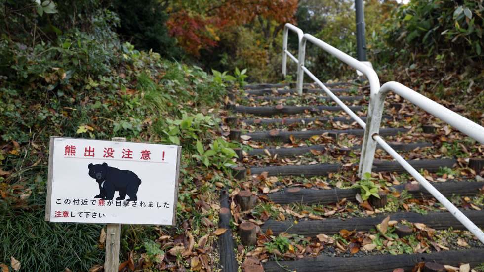 epa12522413 A bear warning sign stands at Senshu Park, where bear sightings have led to restricted access, in Akita, Akita Prefecture, northeastern Japan, 13 November 2025. Earlier in the day, to address the growing problem of serious bear attacks, a police 'Bear Control Task Force' began its mission to cull bears using rifles, a first in Japan. Nationwide, fatalities from bear attacks have reached a record 13 so far this year.  EPA/FRANCK ROBICHON