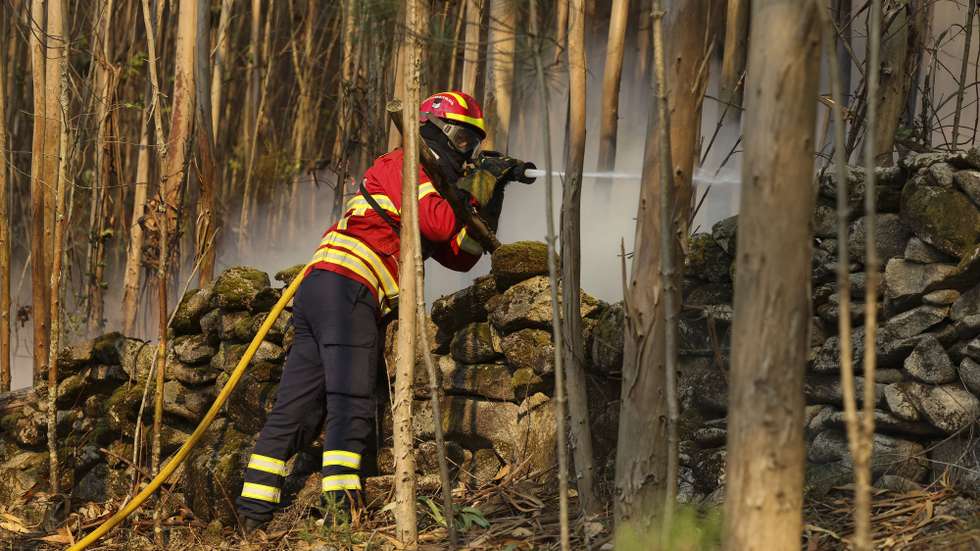 Bombeiros durante o combate ao incêndio florestal que desde a madrugada consome floresta na povoação de Cambarinho, Vouzela, 3 de julho de 2026. PAULO NOVAIS/LUSA,