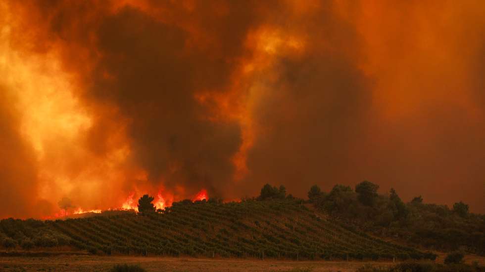 Clouds of smoke rise on the horizon during a wildfire that started in Valpacos and is now raging in Fradizela, Mirandela, Portugal, 29th July 2026.  PEDRO SARMENTO COSTA/LUSA