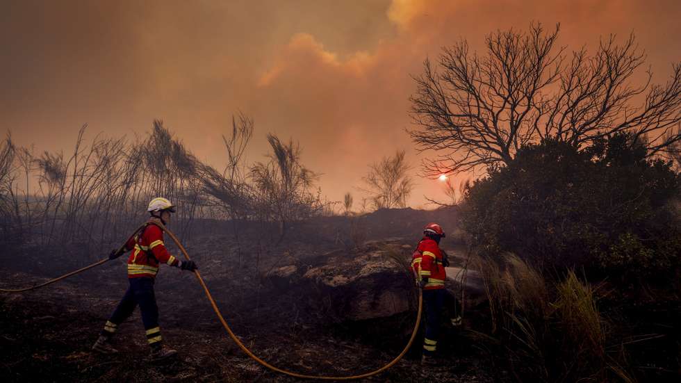 A firefighter fights the flames during a wildfire in Valpacos, Portugal, 30th July 2026. The fire, which broke out on Tuesday in the municipality of Valpaços and spread to those of Mirandela and Vinhais, has three active fronts this evening, and additional resources and personnel have been deployed, according to the Civil Protection Agency. PEDRO SARMENTO COSTA/LUSA