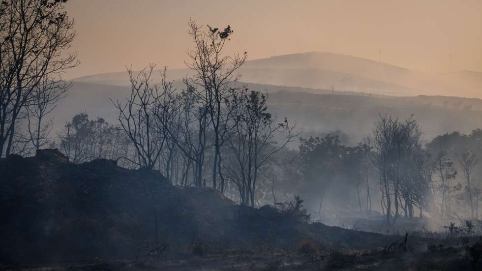 Incêndio em Gouvães, Vila Pouca de Aguiar, 07 de agosto de 2025. PEDRO SARMENTO COSTA/LUSA