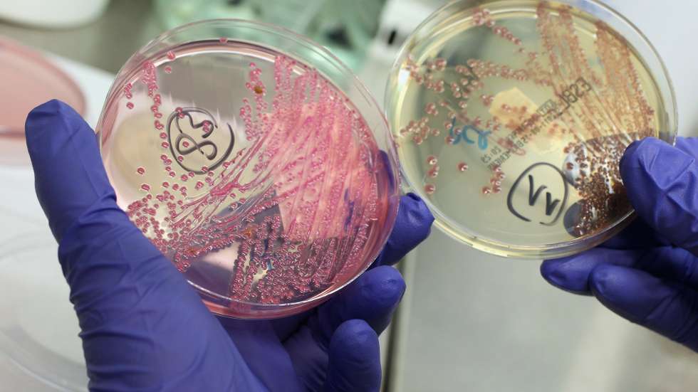 A resistência antimicrobiana é a capacidade de microrganismos como as bactérias sobreviverem aos efeitos de antibióticos