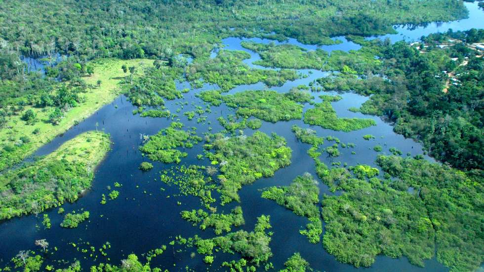 O cenário de políticas públicas para a Amazónia este ano "não foi positivo", alerta o activista ambiental da organização não-governamental Greenpeace ao defender a necessidade de redireccionar investimentos em actividades sustentáveis na floresta, Amazonas, Brasil, 21 de novembro de 2008.  (ACOMPANHA TEXTO)  FABIOLA DOS SANTOS/LUSA