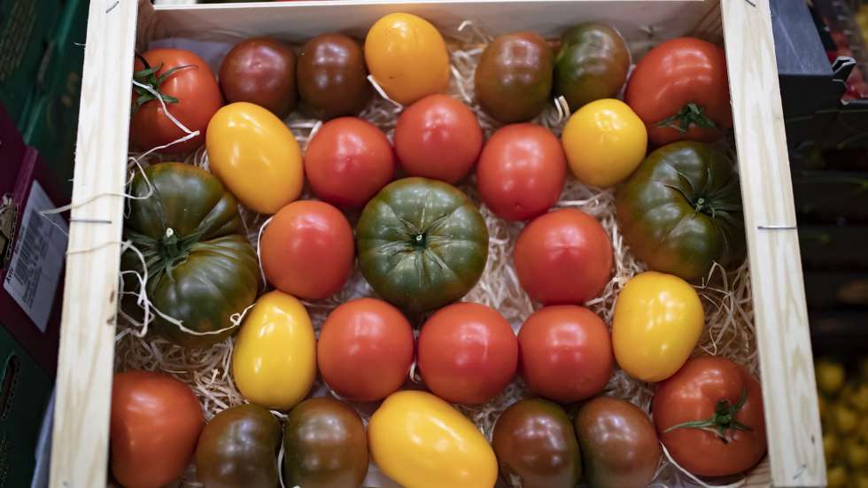 epa08065017 Tomatoes are displayed at the fruits and vegetables pavilion at Rungis International wholesale food market as buyers for restaurants and retail distributors prepare for the Christmas holidays, in Rungis, near Paris , France, 12 December 2019. Spanning 234 hectars on the outskirts of Paris, Rungis International Market is the world's largest wholesale fresh produce market. It houses over 1200 companies trading meats, poultry, fruits and vegetables, seafood, and flowers generating an annual turnover of 9 billion euros. The days leading up to Christmas holidays see a 20 per cent increase in sales and trade.  EPA/IAN LANGSDON  ATTENTION: This Image is part of a PHOTO SET