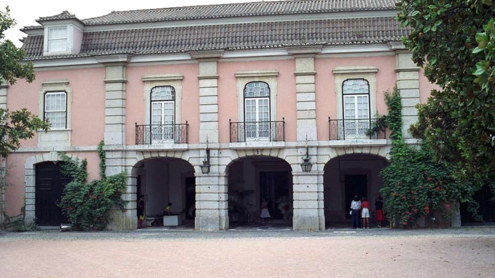As propostas dos museus incluem visitas guiadas e temáticas a exposições, às reservas de alguns museus, espetáculos de teatro, dança, circo e música, workshops e palestras