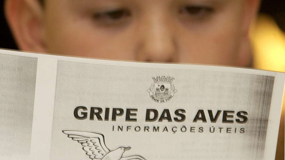 Uma crianca da escola primaria da ilha da Culatra le atentamente um folheto informativo sobre a gripe das aves, inserido na sessao de esclarecimento levada a cabo hoje, quarta feira,22 de marco de 2006, pela camara de Faro e do parque natural da Ria Formosa.FOTO LUIS FORRA/ LUSA