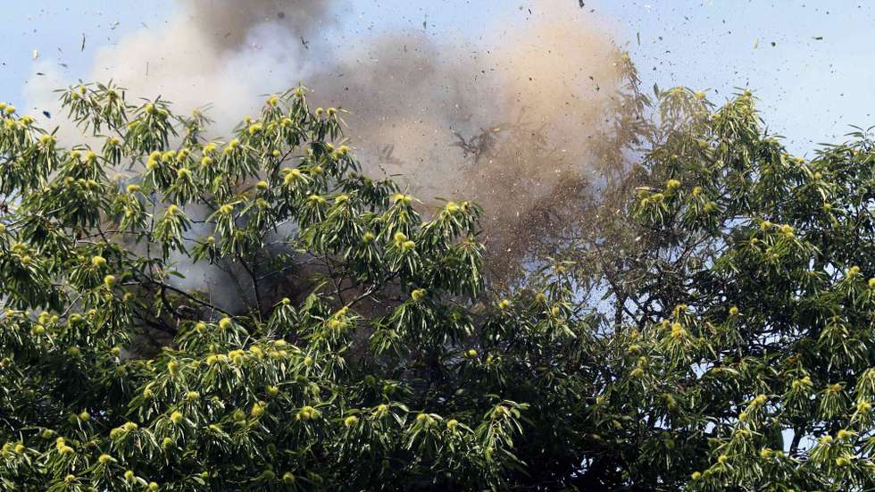 epa07788000 Close up view of an Asian hornet nest exploding during a campaign to eradicate the invasive species in Pravia, Asturias, northern Spain, 23 August 2019. The Asian hornet (Vespa velutina) arrived in Spain in 2010 and Asturias' regional authorities launched a pioneering project with the use of explosive to eradicate the plague. The insect poblation is growing due to the environment conductive, enough food and the lack of predators.  EPA/J.L.Cereijido