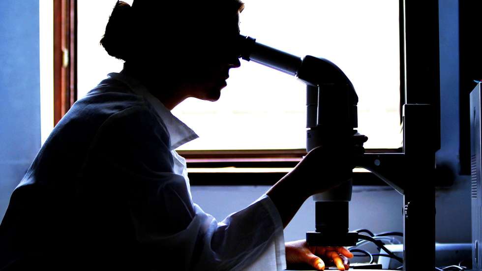 Cientistas imagem geral