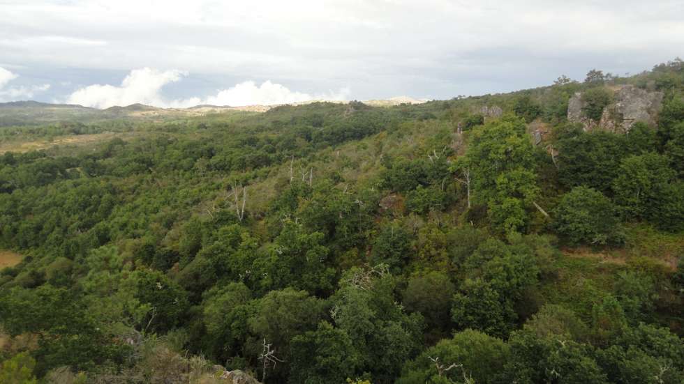 O anúncio destaca "a importância da Arte de Construções de Pedra Seca enquanto reflexo da identidade das comunidades da Serra do Caramulo, grupos e indivíduos que a praticam"