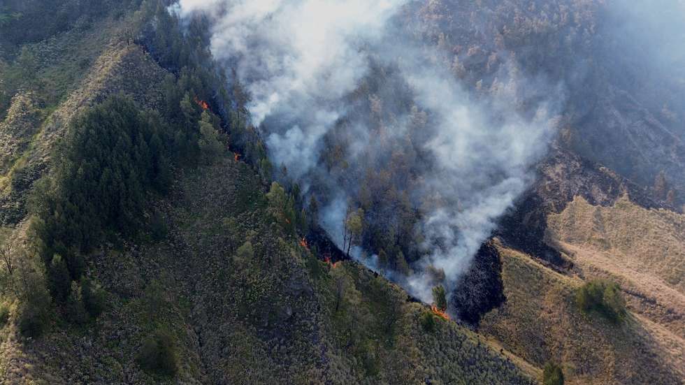 epa13159208 An aerial photo shows a general view of the wildfire at an affected area in Bromo Tengger Semeru National park, Pasuruan, East Java, Indonesia, 10 August 2026. Authorities closed the national park including the famous Mount Bromo for all tourists activities following the wildfire.  EPA/SADEWA