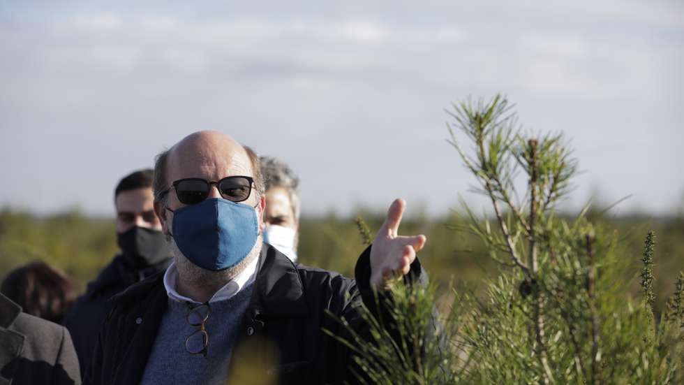 O  ministro do Ambiente e da Ação Climática, João Pedro Matos Fernandes, visita a Mata Nacional de Leiria para se inteirar dos trabalhos de recuperação realizados na MNL após o incêndio em 2017, catástrofe agravada pelo impacto do Furacão Leslie (outubro de 2018), 30 dezembro de 20202 em Marinha Grande. PAULO CUNHA /LUSA