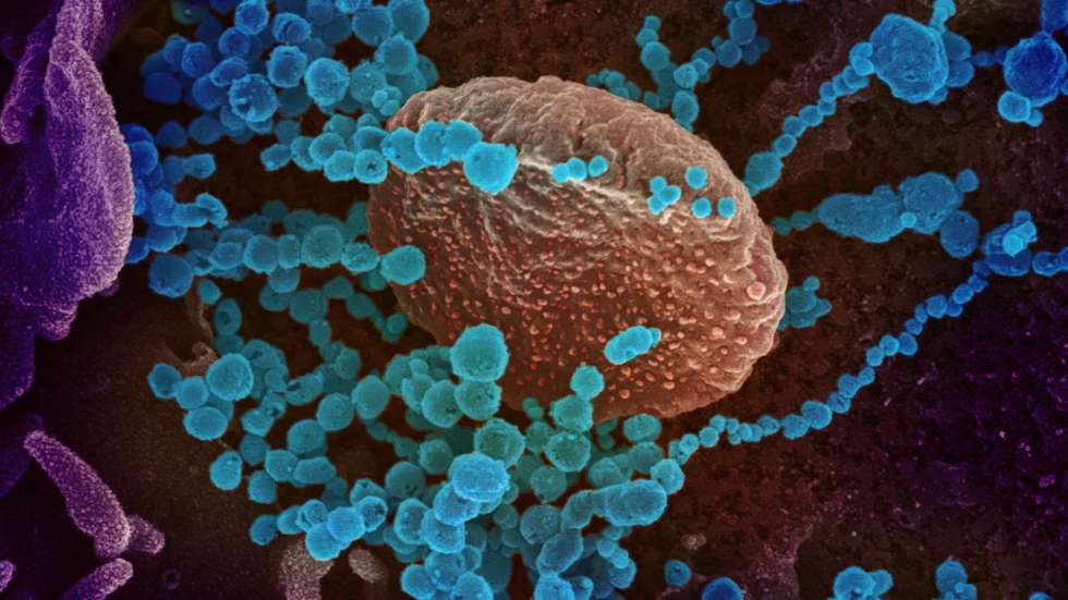 Imagem do Coronavírus