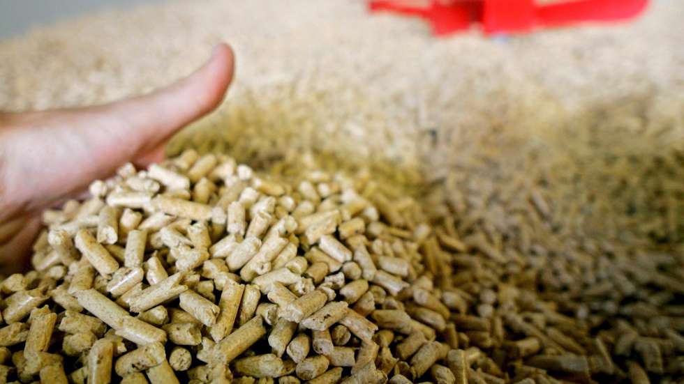 epa000524167 A hand holds wooden pellets from a pile in the production facilities of the biggest German factory for wood pellets in the Dold sawmill in Buchenbach, Germany, Friday 09 September 2005. On Friday 09 September 2005 the facility, whose construction costs amounted to 3 million euros according to the owner,  has been officially inaugurated. 35,000 wood pellets pressed from unprocessed sawdust are to be produced annually. Wood pellets can be used by private housholds and the industry as heating material.  EPA/PATRICK SEEGER
