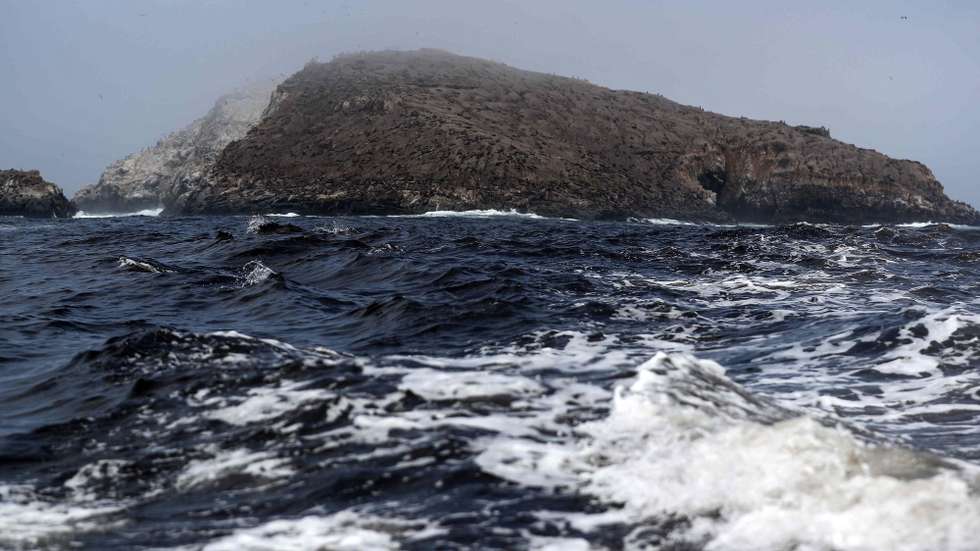 epa11235113 General view shows part of the Cavinzas islands and Palomino islets, off the coast of Callao, Peru, 19 March 2024 (Issued 21 March 2024). Less than an hour by boat from Lima, rest a group of islands inhabited by thousands of sea lions, penguins and a great variety of birds that have become the first Peruvian destination to obtain the ITB Earth Award 2024, awarded in Germany by ITB Berlin, one of the world's most important tourism fairs. The Cavinzas Islands and Palomino Islets, part of the National Reserve System of Islands, Islets and Puntas Guaneras, are located in front of the port province of Callao and on a boat ride you can tour the rock formations while admiring the local fauna from the ocean, in a tourist activity that does not generate pollution and that has earned them said international recognition.  EPA/PAOLO AGUILAR