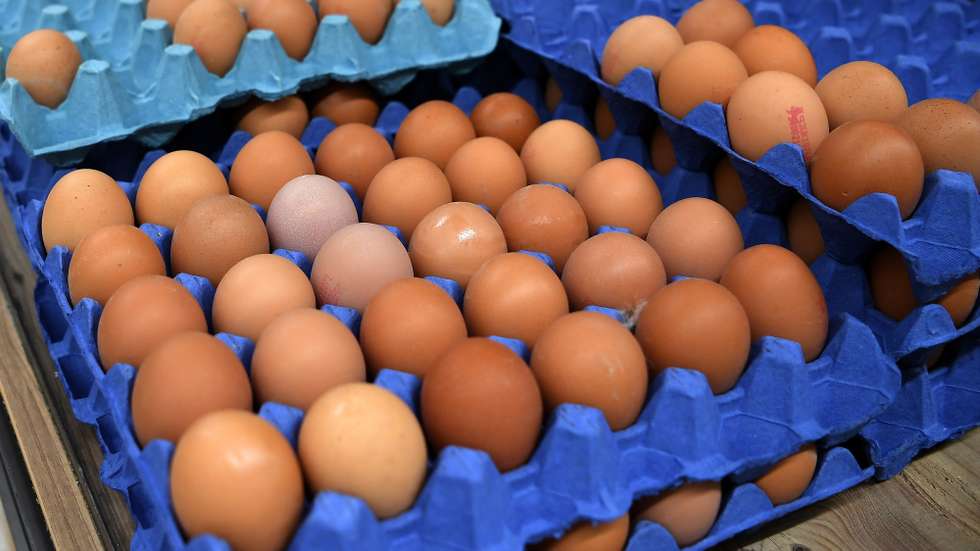 epa09863741 Eggs at a supermarket in London, Britain, 01 April 2022. Egg producers across the UK are facing a crisis and may be facing collapse. British poultry farmers are calling for UK supermarkets to increase the price of free range eggs to avoid being shut down. The rising costs of fuel and additional costs of keeping hens indoors during a bird flu outbreak is bringing egg producers close to the brink of collapse.  EPA/ANDY RAIN