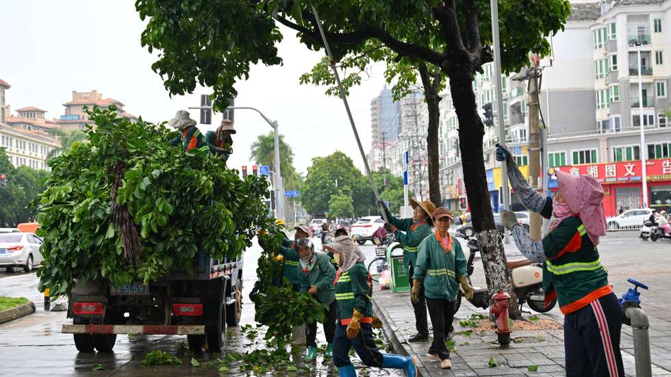 epa11589045 Workers cut redundant branches of trees ahead of the landfall of typhoon Yagi in Haikou, south China&#039;s Hainan Province, 05 September 2024 (issued 06 September 2024). The State Flood Control and Drought Relief Headquarters raised its emergency response for flood and typhoon prevention from level III to level II in Guangdong and Hainan provinces at 3 p.m. on 05 September, as typhoon Yagi approaches. Yagi is expected to make landfall on 06 September afternoon or evening somewhere between the city of Qionghai in Hainan and Maoming City in Guangdong.  EPA/XINHUA / GUO CHENG CHINA OUT / UK AND IRELAND OUT  /       MANDATORY CREDIT EDITORIAL USE ONLY