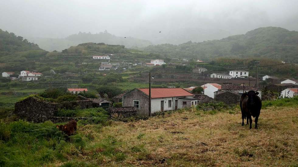 Os dados recolhidos por esta estação são considerados essenciais para detetar movimentos associados, por exemplo, a sismos, sendo a tecnologia que atualmente mede com maior precisão esse tipo movimentos