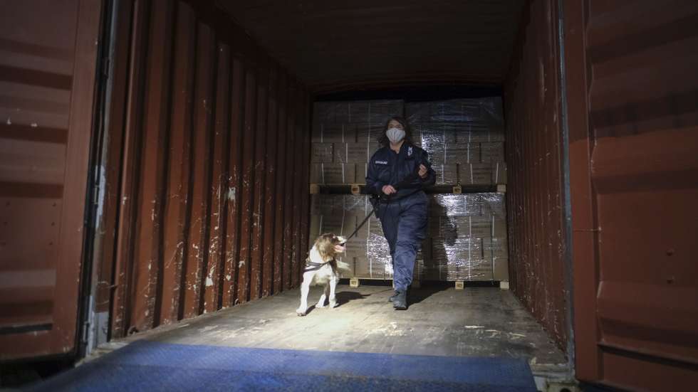 epa08920006 Customs employees during demonstration of drug searching during a presentation of the year results of drug seizure in port of Antwerp, Belgium, 05 January 2021. Belgian narcotics officers seized a record amount of cocaine in 2020.  They prevented the smuggling of more than 65 tons of cocaine, amounting to an increase of fourteen-fold since 2013, The seized drugs had a street sale value of more than 7 billion euros.  EPA/OLIVIER HOSLET